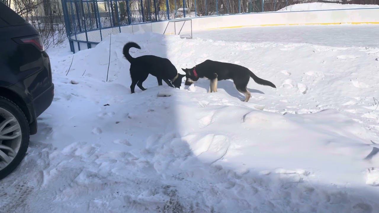 7 марта 2024 г. смотреть онлайн