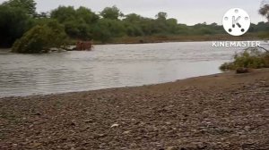 РЫБАЛКА. Кета на сайру.    #ПРОСТАЯРЫБАЛКА