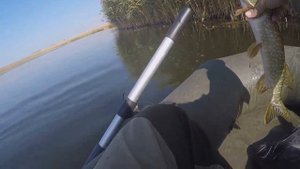 Ловля щуки в октябре на вертушку. река Малый узень.