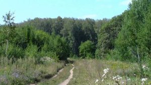 Посёлок Приупский Тульская обл Киреевский район.