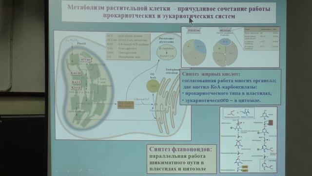 Носов А. М. - Физиология растений I - Физиология клетки