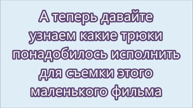 Трюковая дрессировка в Курске, Бордер Колли Маффин - часть 1 смотреть онлайн