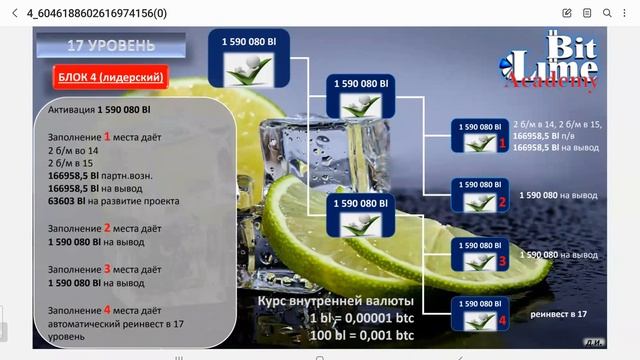 Автопрограмма через Битлайм в Академии Лайм!