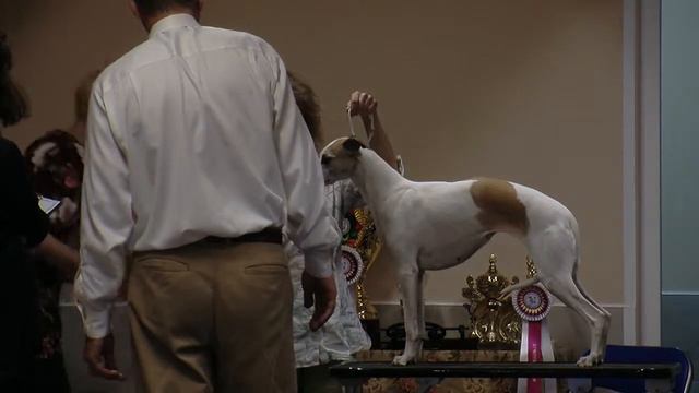 Dogoni Veter Valentinka смотреть онлайн