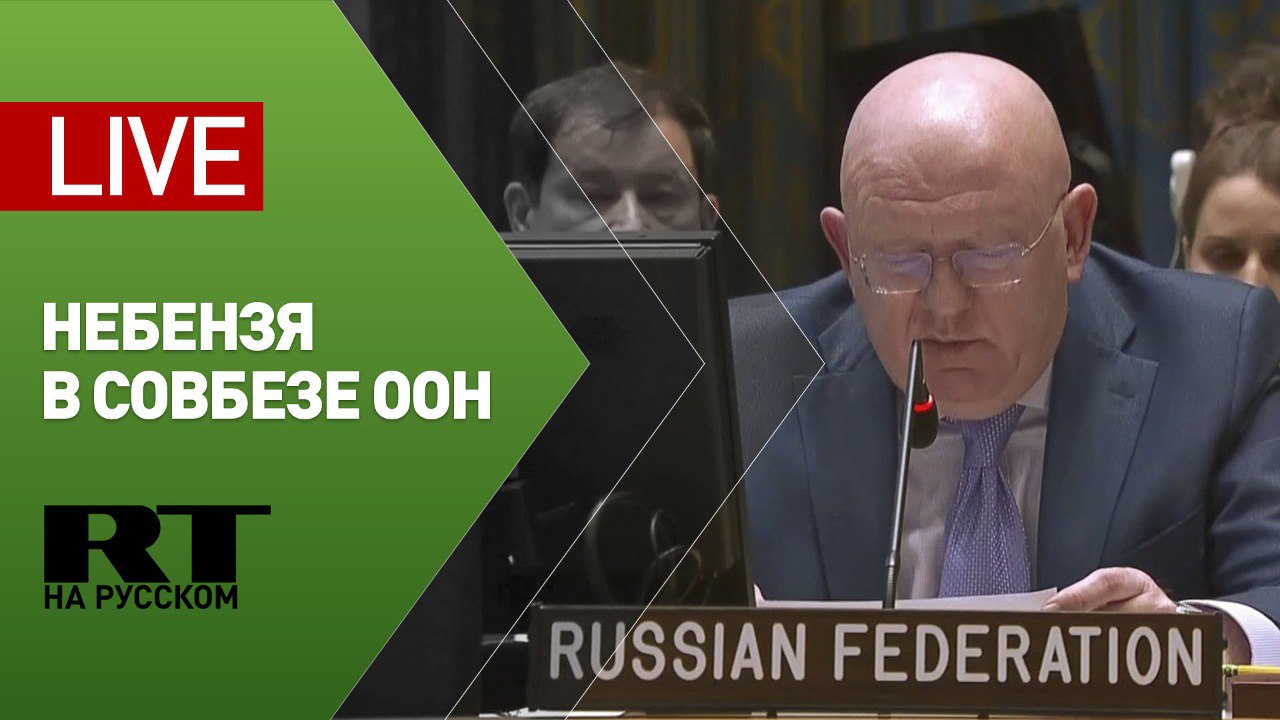 Постпред РФ Василий Небензя выступает в Совбезе ООН — LIVE