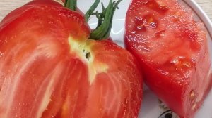 Томат сорта Пудовик. Каков в разрезе и на вкус.
