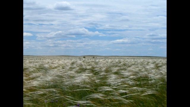 Юрий Алексеевич Деянов. Региональный день чтения. Чернавская сельская библиотека смотреть онлайн