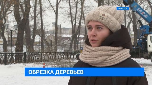 Формовочная обрезка деревьев