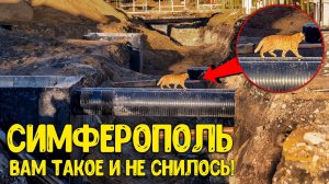 Это происходит в Симферополе прямо сейчас? Увиденное меня реально поразило! Как живёт Крым в 2023?