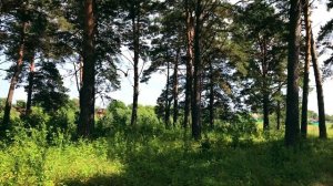 Малая Сазанка