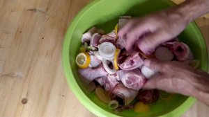 Шашлык из курицы. Вкусный шашлык из курицы на решетке.