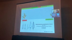 Michael Barker: Potential homoploid & allopolyploid speciation in Selaginella of the Sonoran Desert