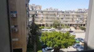 О сухих кормах. Корма для собак. Борзые. Уиппет. Кормление борзых. Кормление Уиппета. Мой Дексик