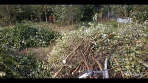 Аккумуляторная цепная пила WOSAI WS-DSJ20 | #Обзор