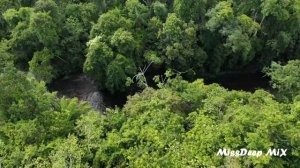 Ритмичная музыка и красивые девушки. Vol50