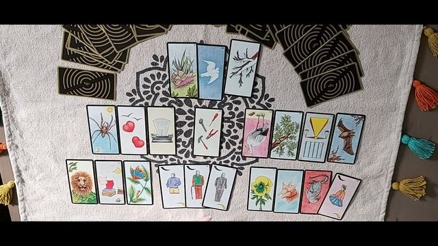 Tirage Perso avec l'oracle Gé. ( Je vous partage une très mauvaise nouvelle à la fin ) смотреть онлайн