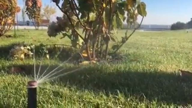 ООО Виктория Полив объект 3 смотреть онлайн