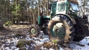 Tractor T40AM in forest 2/Трактор Т40АМ в лесу 2