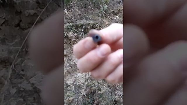 Хитра приблуда до флобера??? смотреть онлайн