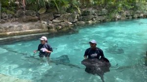 Отдых в Мексике / Парк Xcaret / Куда поехать в Мексике