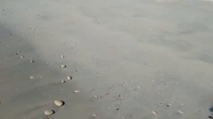 Шарджа отель Royal Beach Resort & Spa