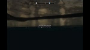 Skyrim Riften Glitch