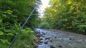 Рыбалка в КБР # Trout fishing ? красивые места, ручьевая форель