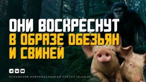 Они воскреснут в образе обезьян и свиней