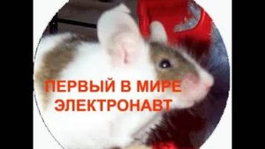 Первый в мире электронавт