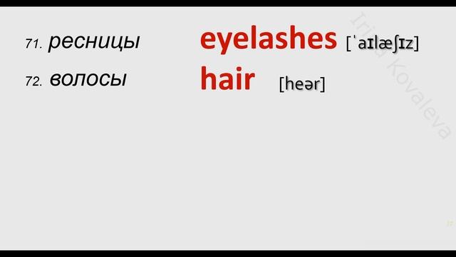 Английский видеословарь Английские слова На каждый день Уроки английского языка Английский язык