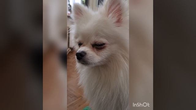 Спит усталая игрушка?
