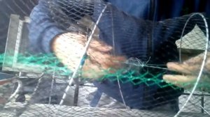 ОБЗОР НА НОВУЮ ВЕРШУ ДЛЯ РЫБАЛКИ✌?