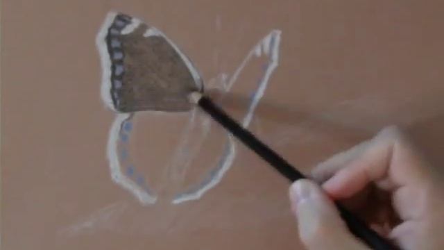 Рисование бабочки угольным карандашом смотреть онлайн