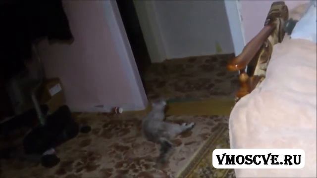 Вкалывают роботы а не Человек