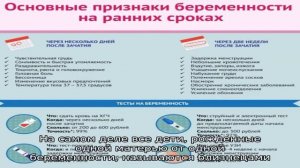 На каком сроке можно определить наличие двойни – когда на УЗИ видно многоплодную беременность?