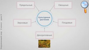 Окружающий мир 2 класс (Урок№9 - Дикорастущие и культурные растения. Дикие и домашние животные.)