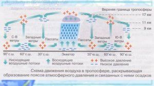 География 7 кл Кopинская §5 Распределение температуры воздуха и осадков на Земле...