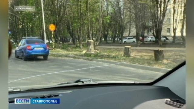 В Ставрополе вырубают деревья для расширения улицы Тухачевского