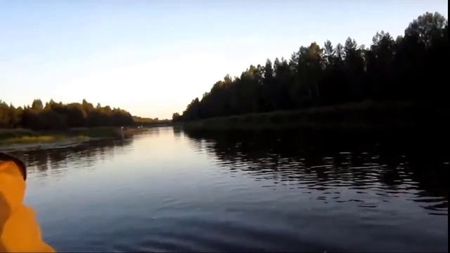 Петербургский поэт Владимир Скворцов.   Родные края