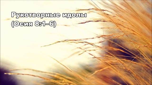 Тихое время с Живой Жизнью: Осия 8:1–14 (24102016) смотреть онлайн