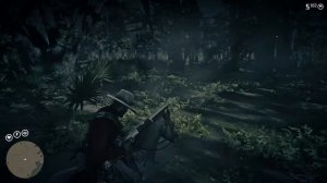 Где найти Пантеру и Флоридскую пуму в rdr2