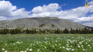 Геометка. Южно-Уральский заповедник. Нацпарк Зигальга _ South Ural Reserve. Zigalga, Russia