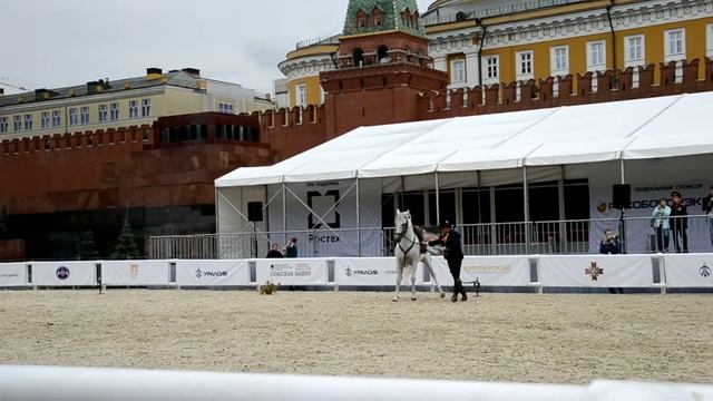 DSC 1303 смотреть онлайн