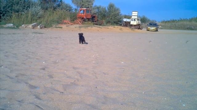 Прикольно!