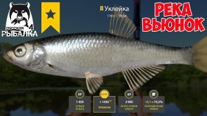 ОТЛИЧНЫЙ КЛЕВ УКЛЕЙКИ В 3 ПАЛКИ НА ВЬЮНКЕ РУССКАЯ РЫБАЛКА 4 РР4
