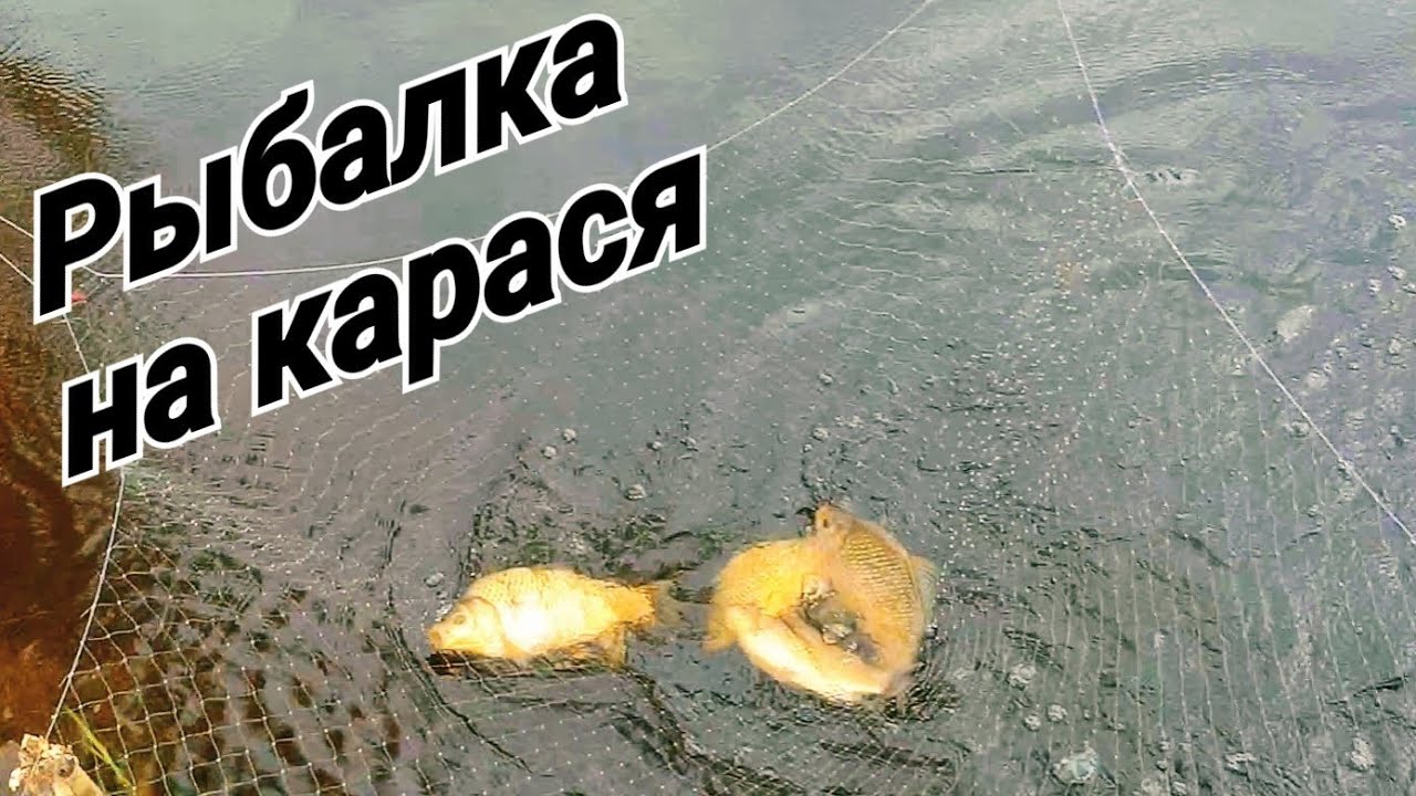 Рыбалка на паук!!! Рыбалка на карася в малых Сибирских реках!!! Ловля рыбы. смотреть онлайн