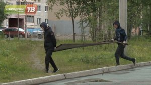 Сколько может заработать школьник в Апатитах или Кировске?