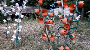 Поделки из мусора  ? Украшение сада своими руками