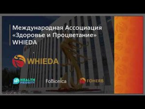 Презентация Whieda - продукция и маркетинг млм компании