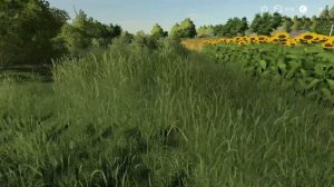 ? Карта Деревня Камень для фс 19 ? / Моды для фс 19 / Обзор модов для Farming Simulator 2019